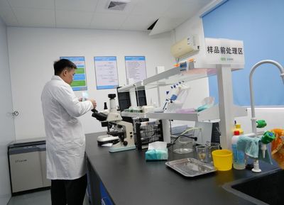 华南10万张小棚虾集结号吹响，超30亿投入品风口下，广东领航技术服务与推广新浪潮